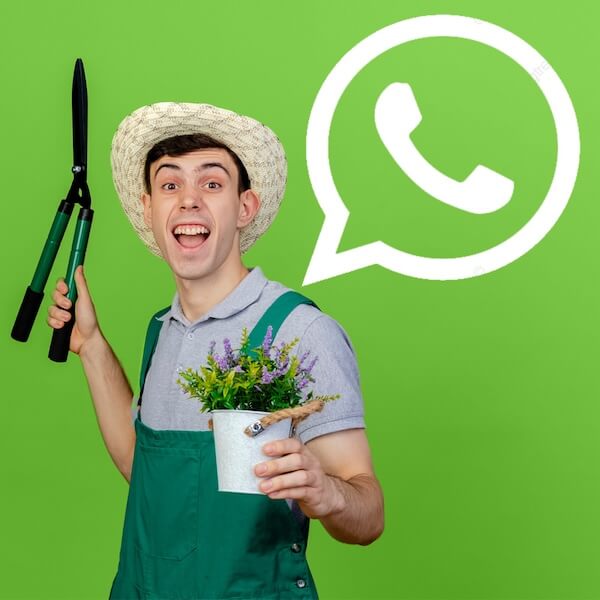 Wir helfen gerne auch per Whatsapp weiter